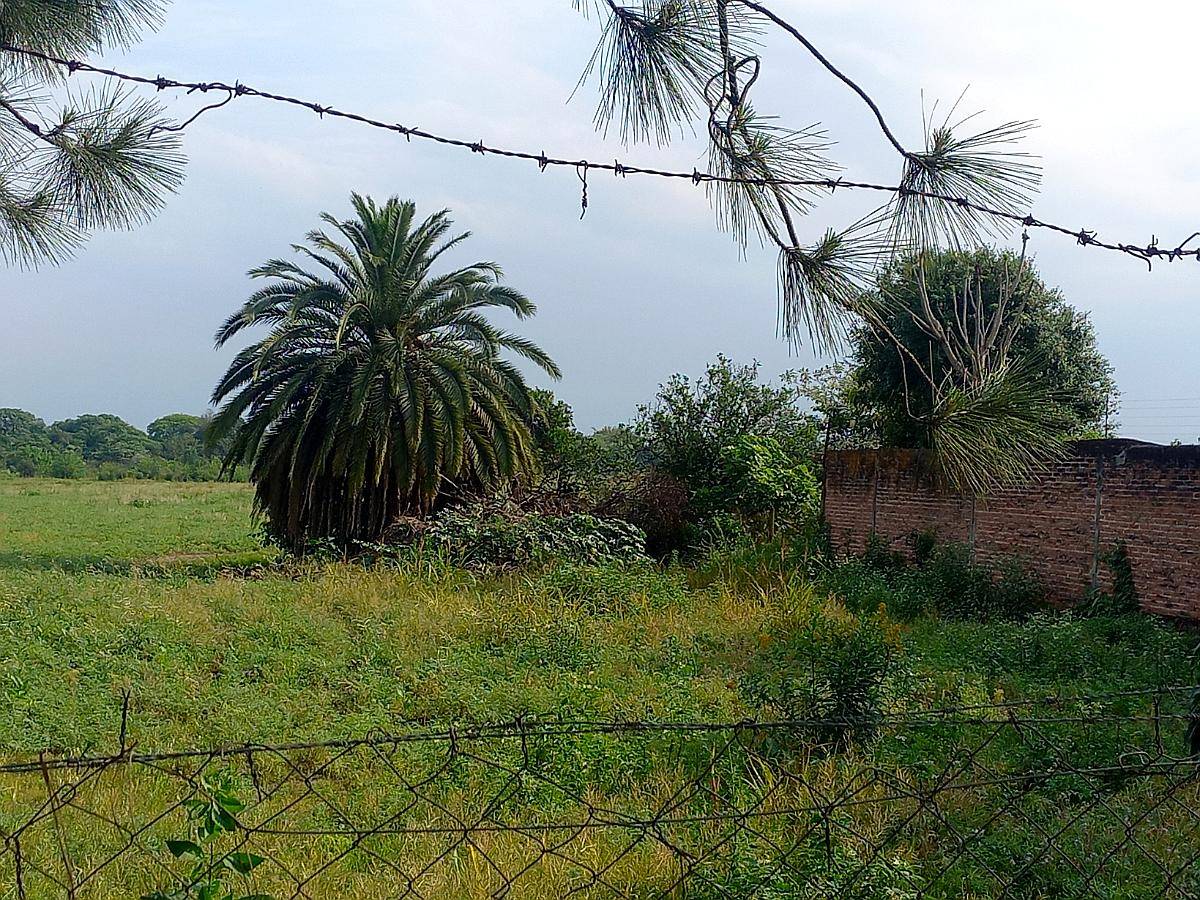 20 Hectareas en Tafi Viejo Tucuman