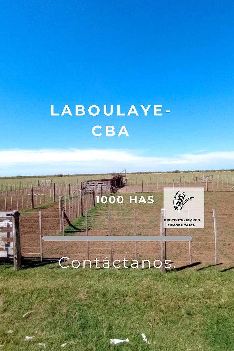 Se Vende Campo Mixto - Zona de Laboulaye