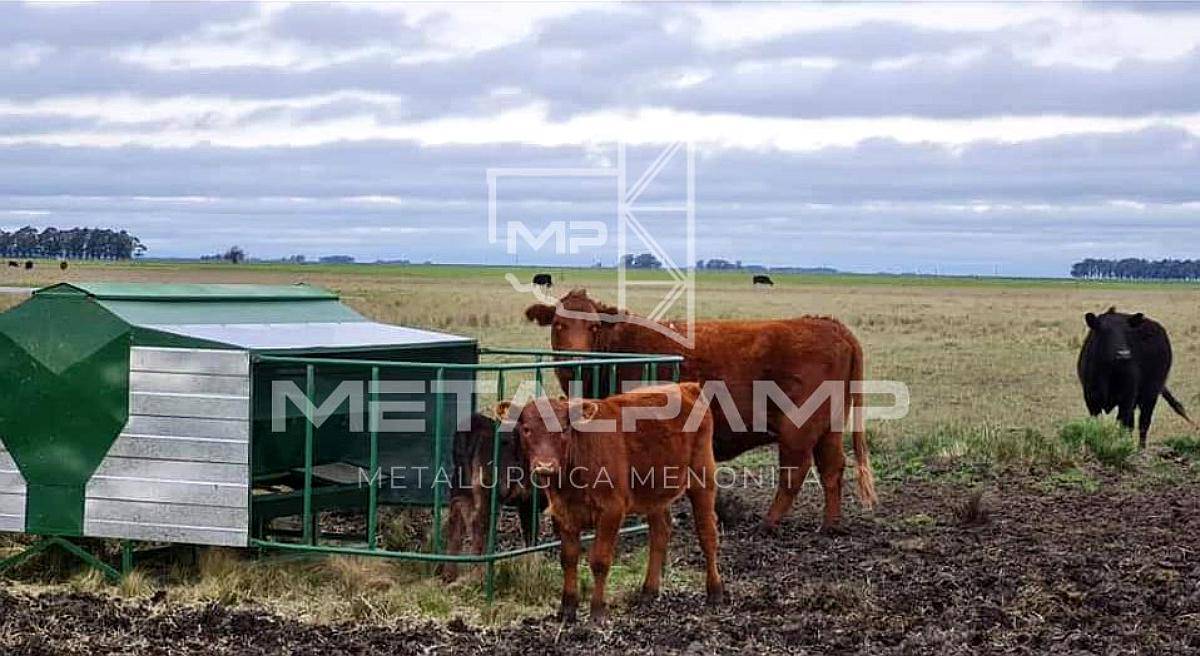 Comedero Creep Feeding para Ternero, Destete