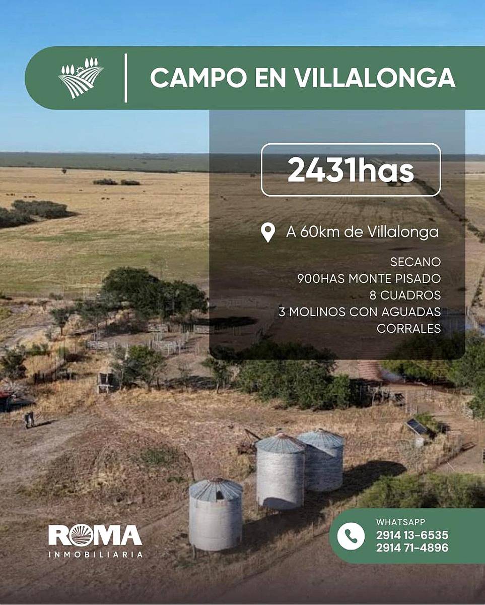 2431 Has Secano en Venta Patagones
