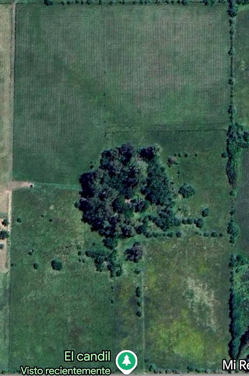 Alquilo Campo Camino a Magdalena , a 500 MT de la Ruta 11