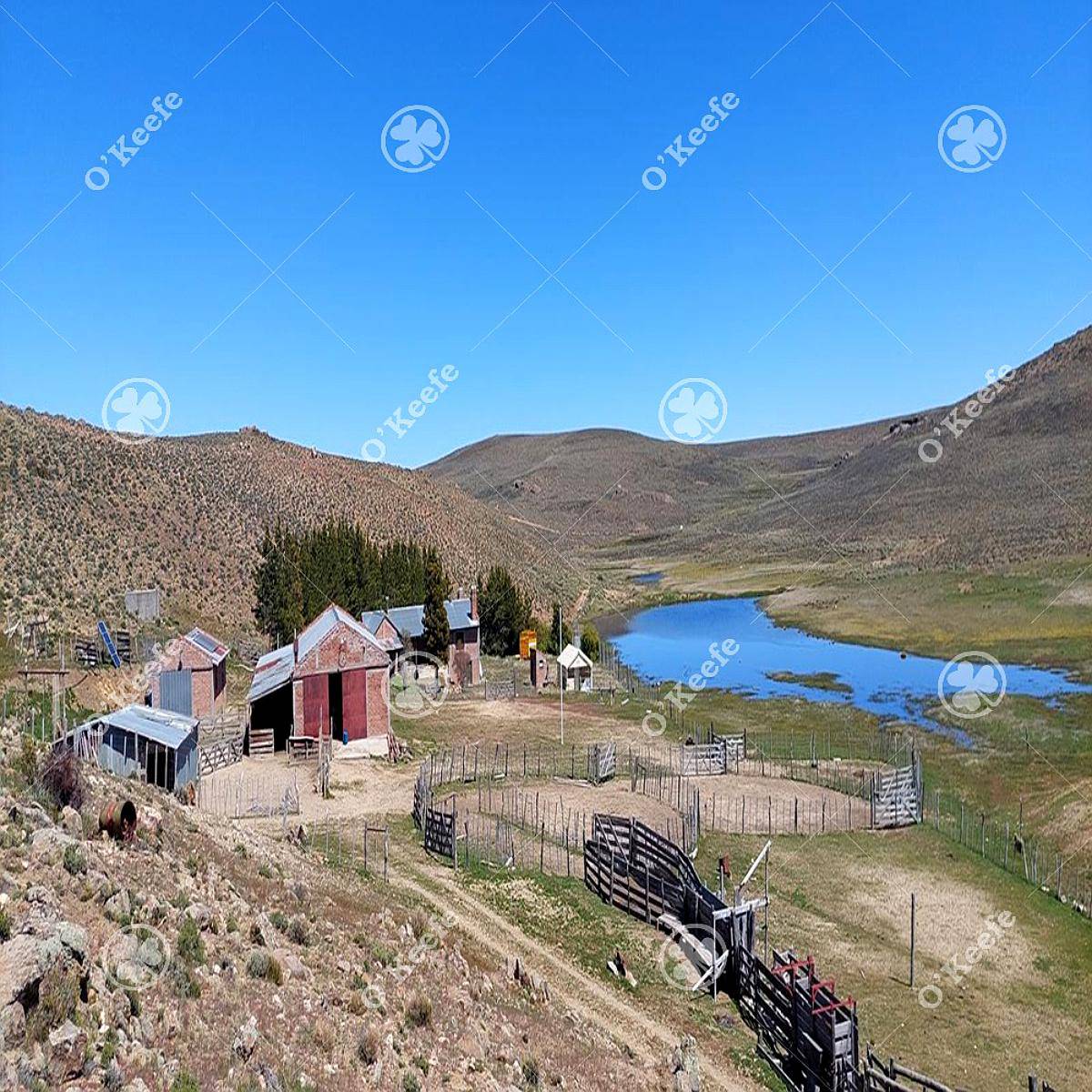 Campo en Venta 4394 Has en las Bayas, Bariloche. Ganadero.