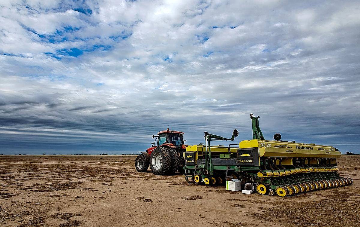 Case Puma 205 con Sembradora