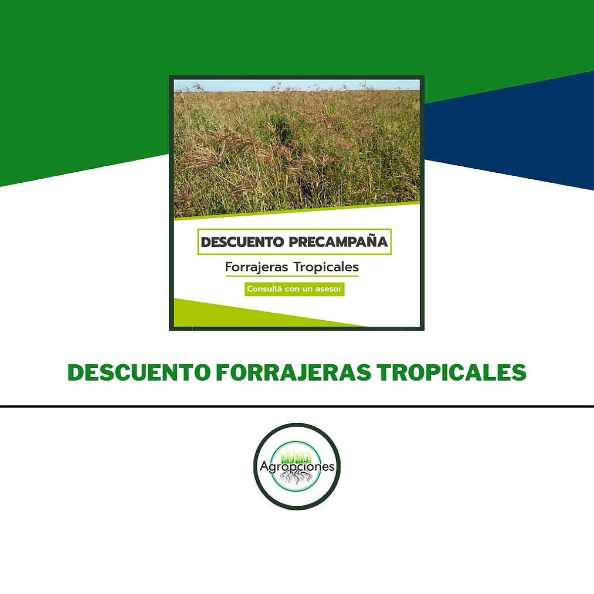 Precampaña de Forrajeras Tropicales - 10% OFF Hasta el 30/04