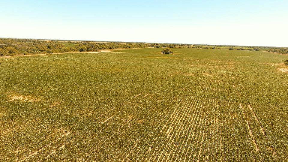 Vendo 95 Ha en Jesus Maria