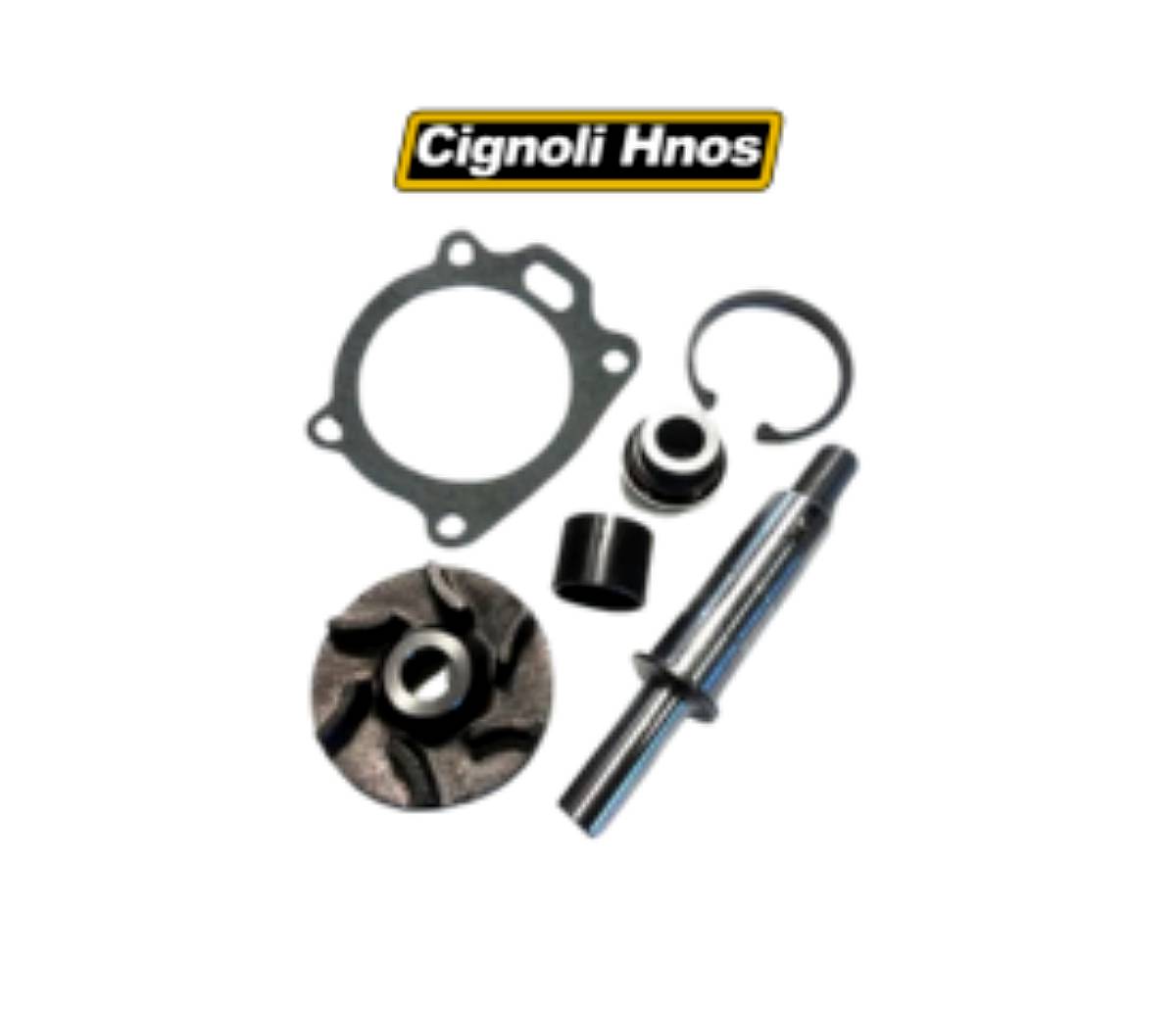 Juego de Reparación de Bomba de Agua