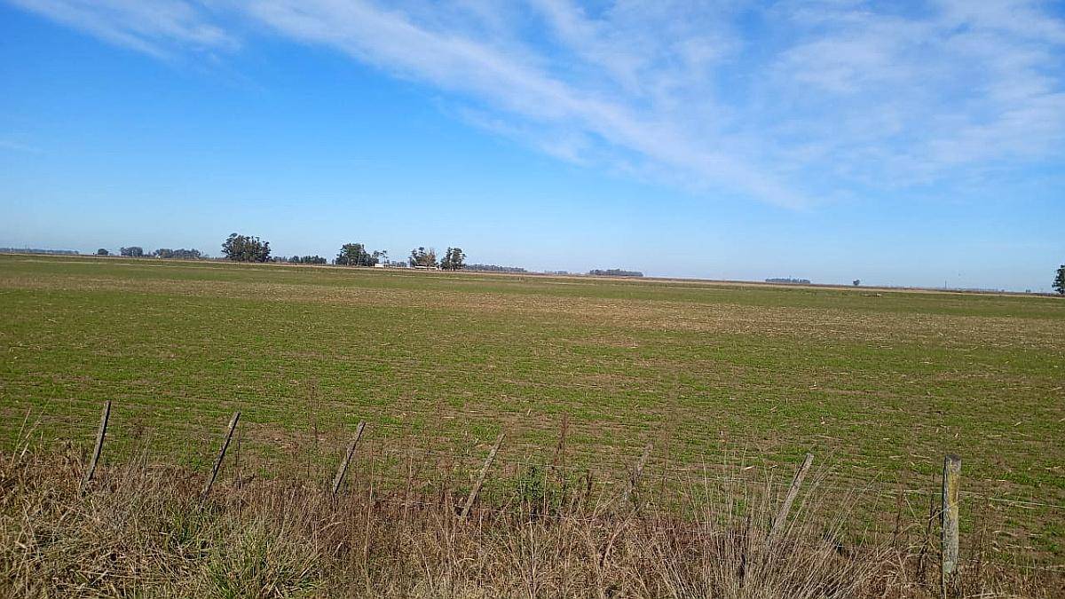 Campo Mixto 70% Agricola 29% Ganadero