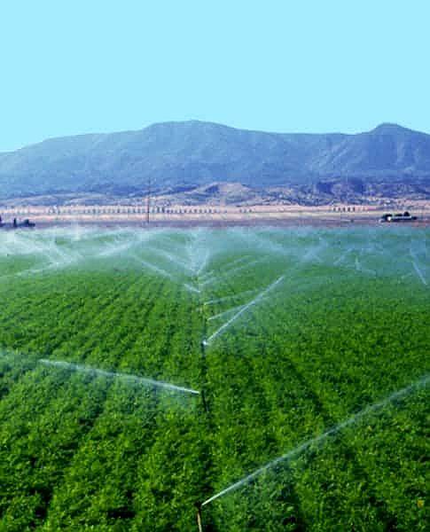 Sistemas de Riego Agricolas por Aspersion y Goteo