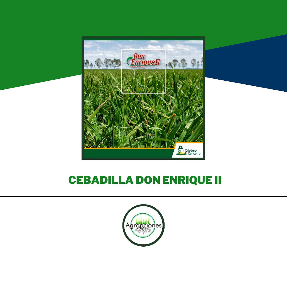 Semilla de Cebadilla Don Enrique II - Criadero el Cencerro