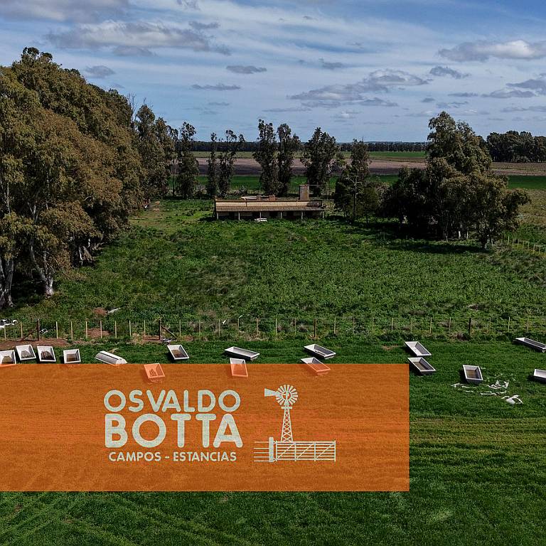 Campo 100% Agricola Sobre Ruta a 10km de Tres Arroyos