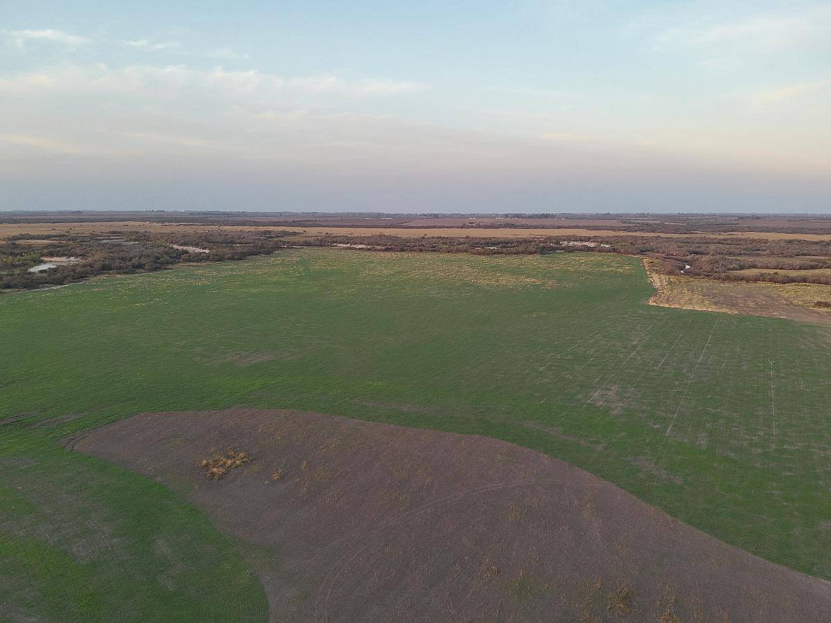 Establecimiento Mixto Centro de Entre Rios