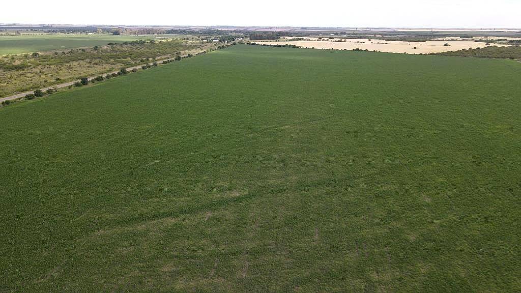 525 Hectáreas Agrícolas Sobre Ruta, San Marcial.