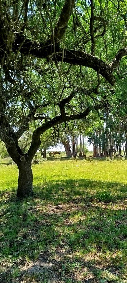Chacra de 1,5 Ha Arboleda, Lugar Tranquilo. Colon E.rios