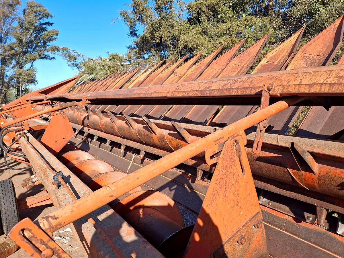 Girasolero Mainero Usado 1035 (14 a 70)