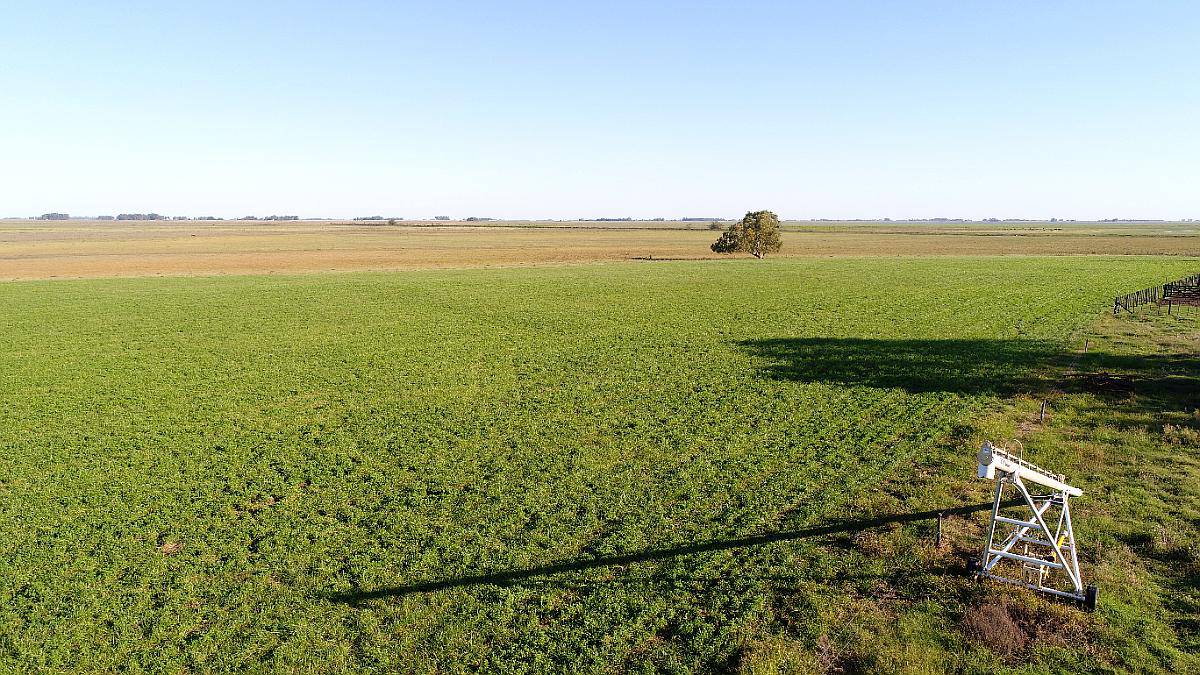 600 Has Mixtas Saladillo