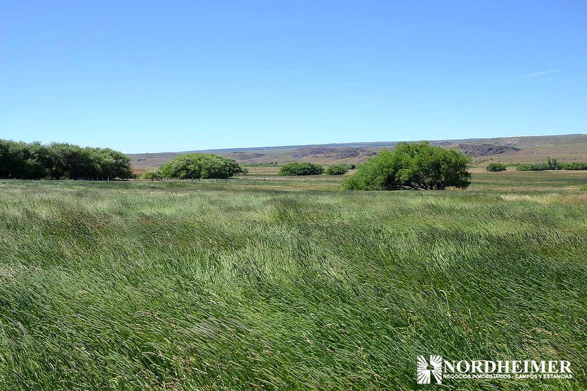Rio Pico, Chubut - 2.700 Ha