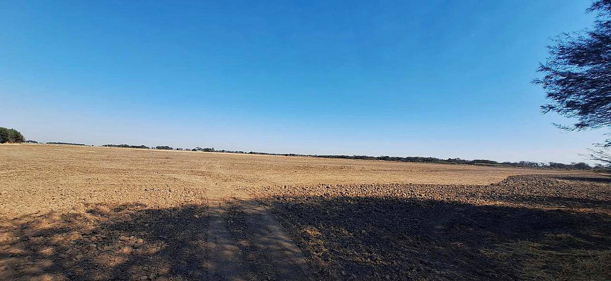 202 Hectáreas Campo Agricola