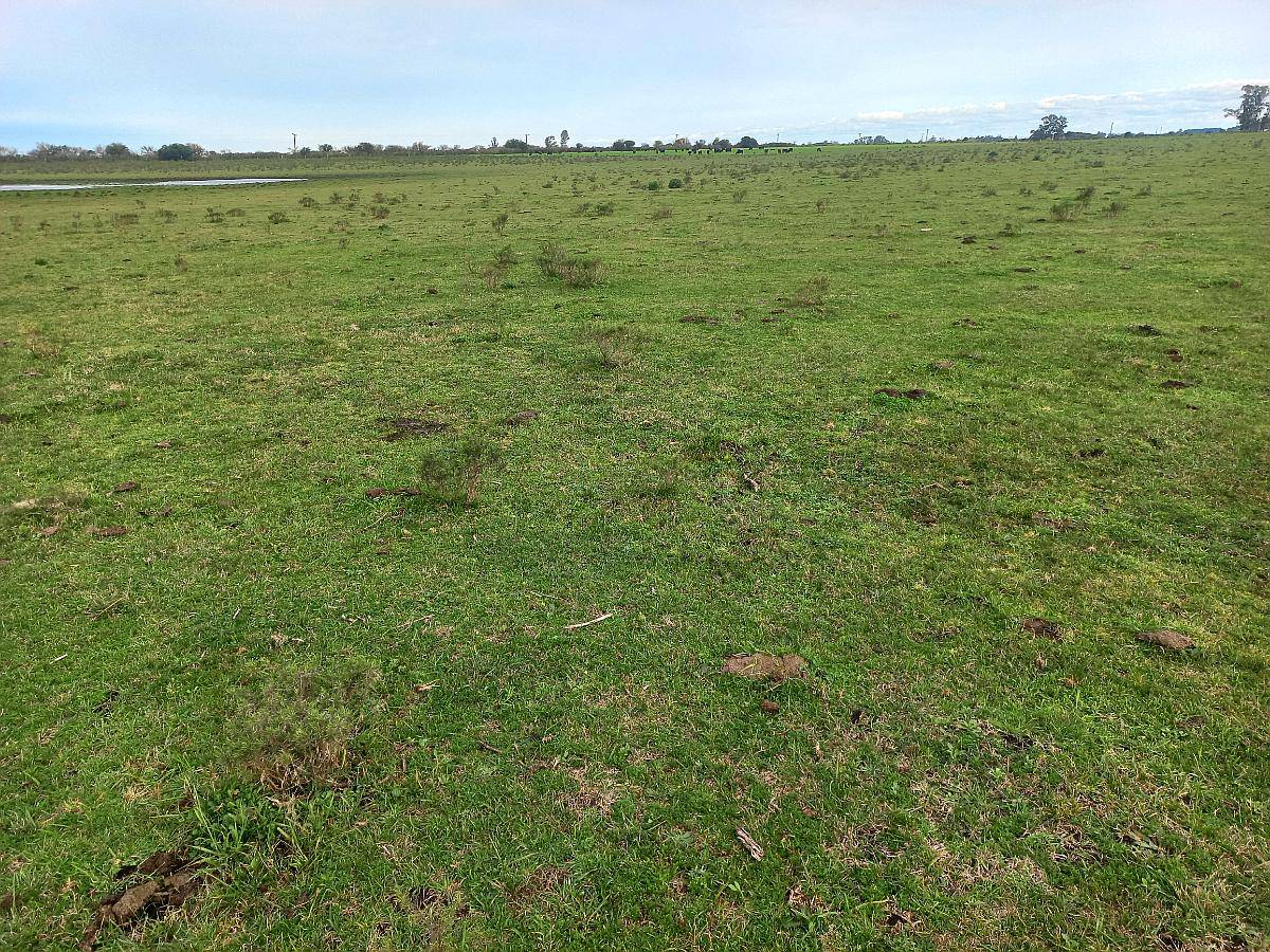 48 Hectareas Campo Agricola