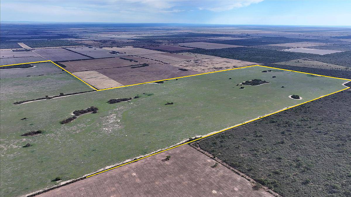 Córdoba la Puerta 500 Has Mixtas Agricolas