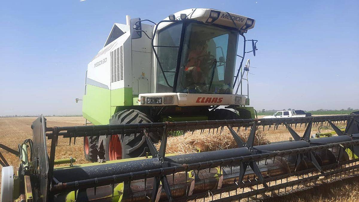 Claas Medion 310, 23pies