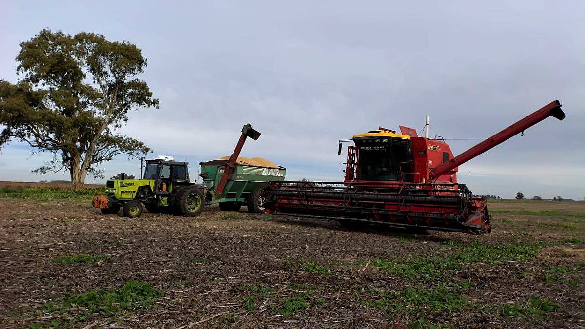 Don Roque RV 150m, Equipo de Cosecha Completo