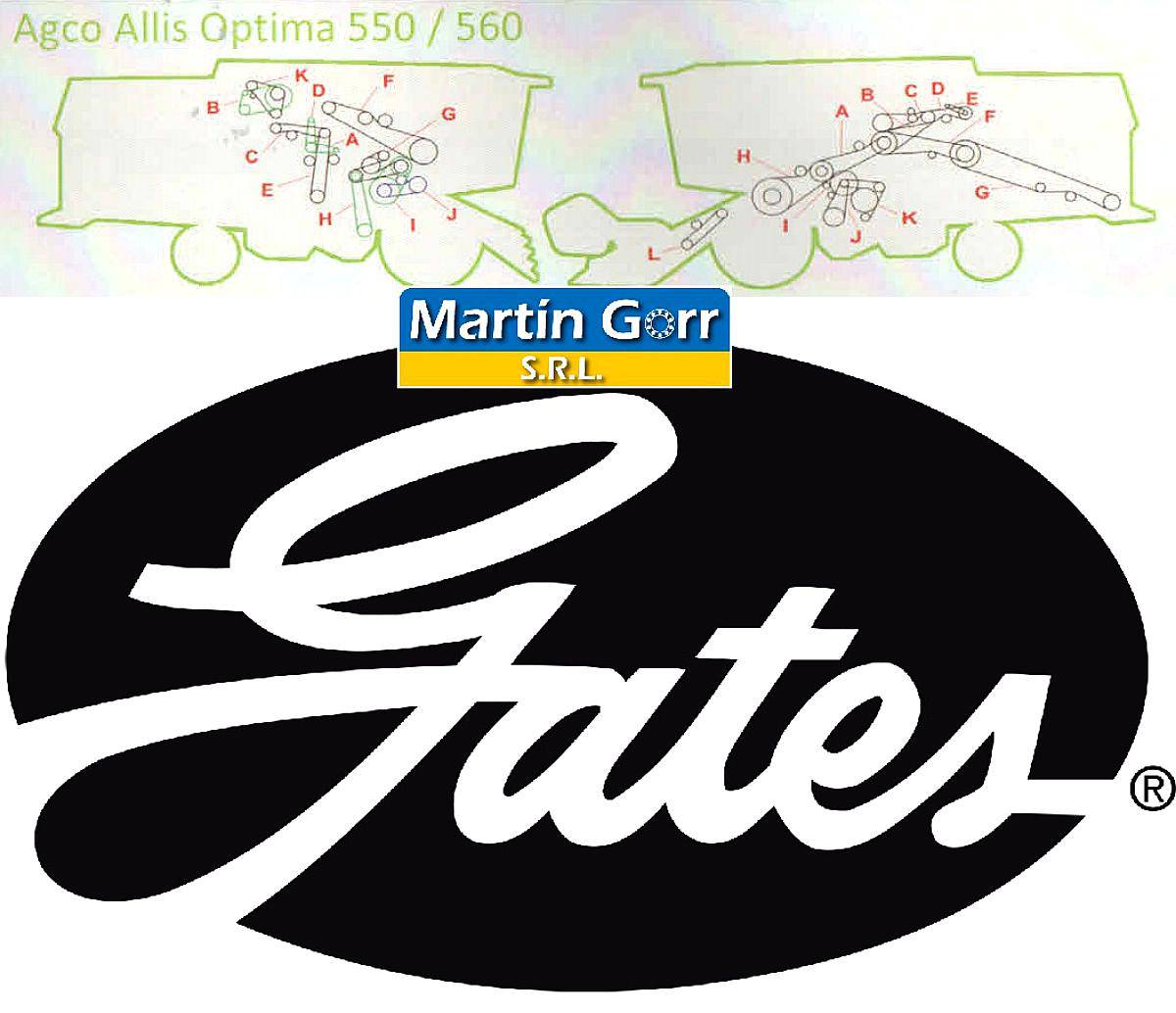 Correa Rotor Agco Allis 550 Gates
