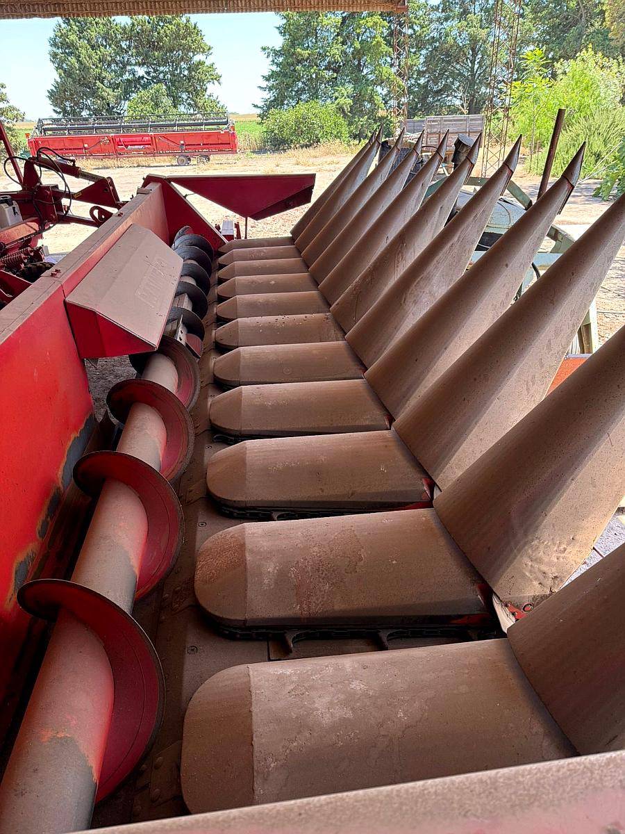 Mainero 11 a 52 muy Bueno