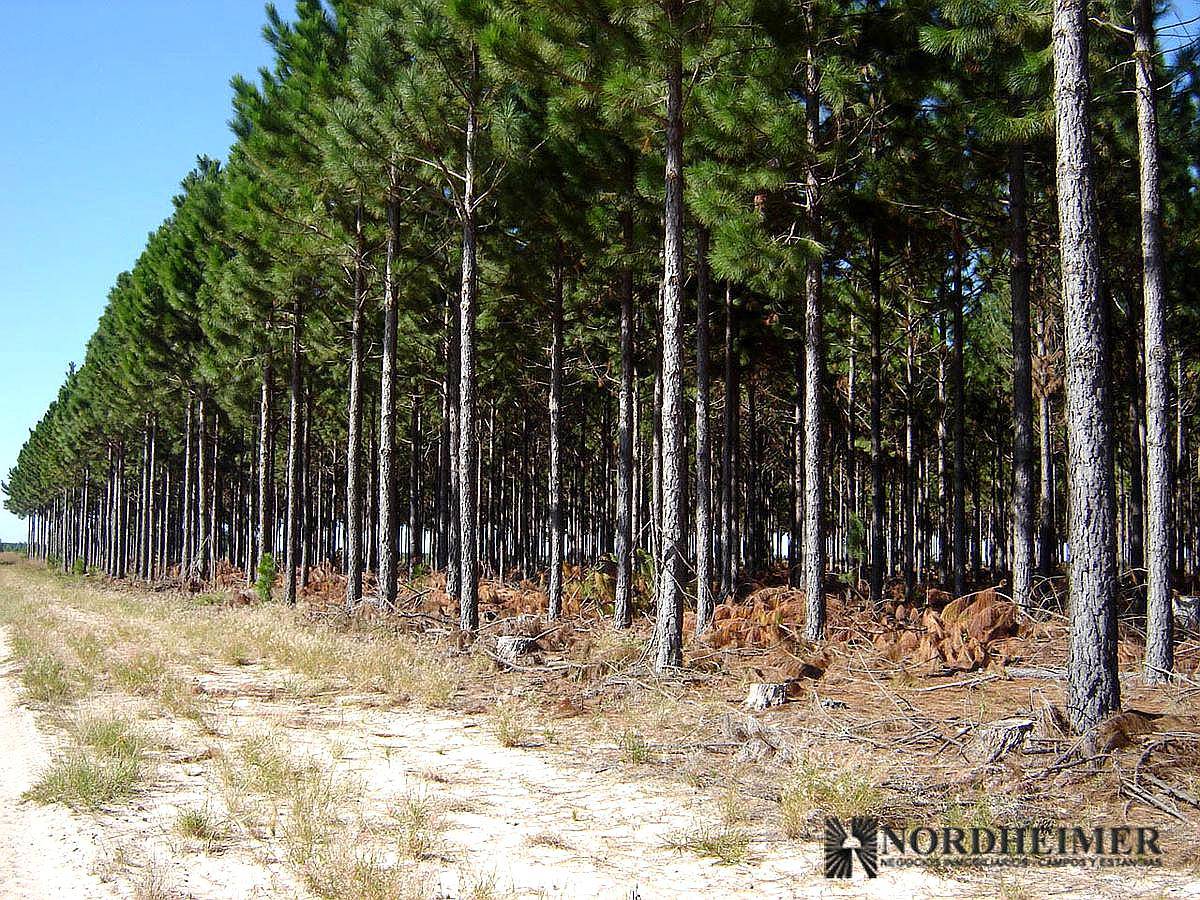 Concepción, Corrientes - 2.793 Ha