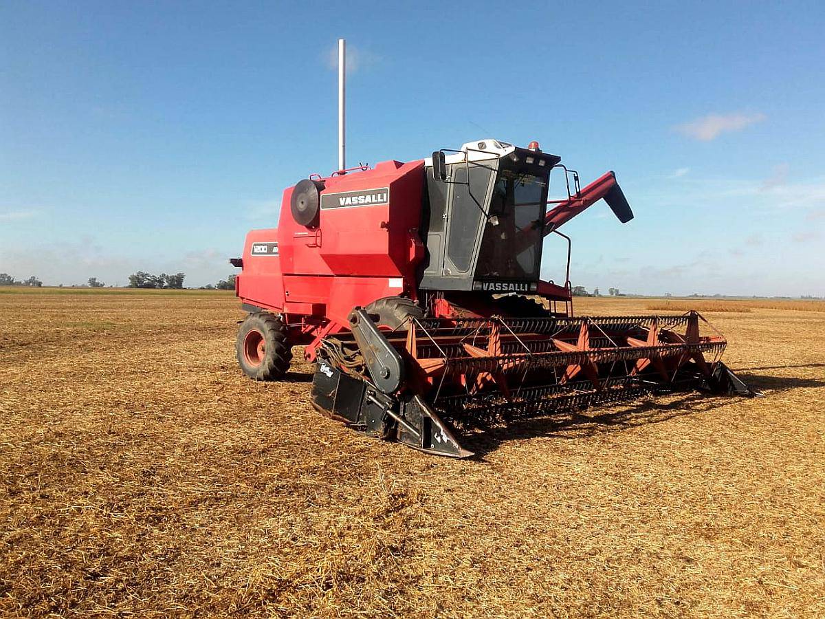 Vassalli 1200, 23 P, 10 Surcos (arveja)