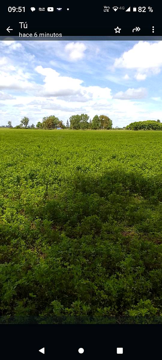 Vendo Fardos de 1ra Calidad en Abasto,la Plata