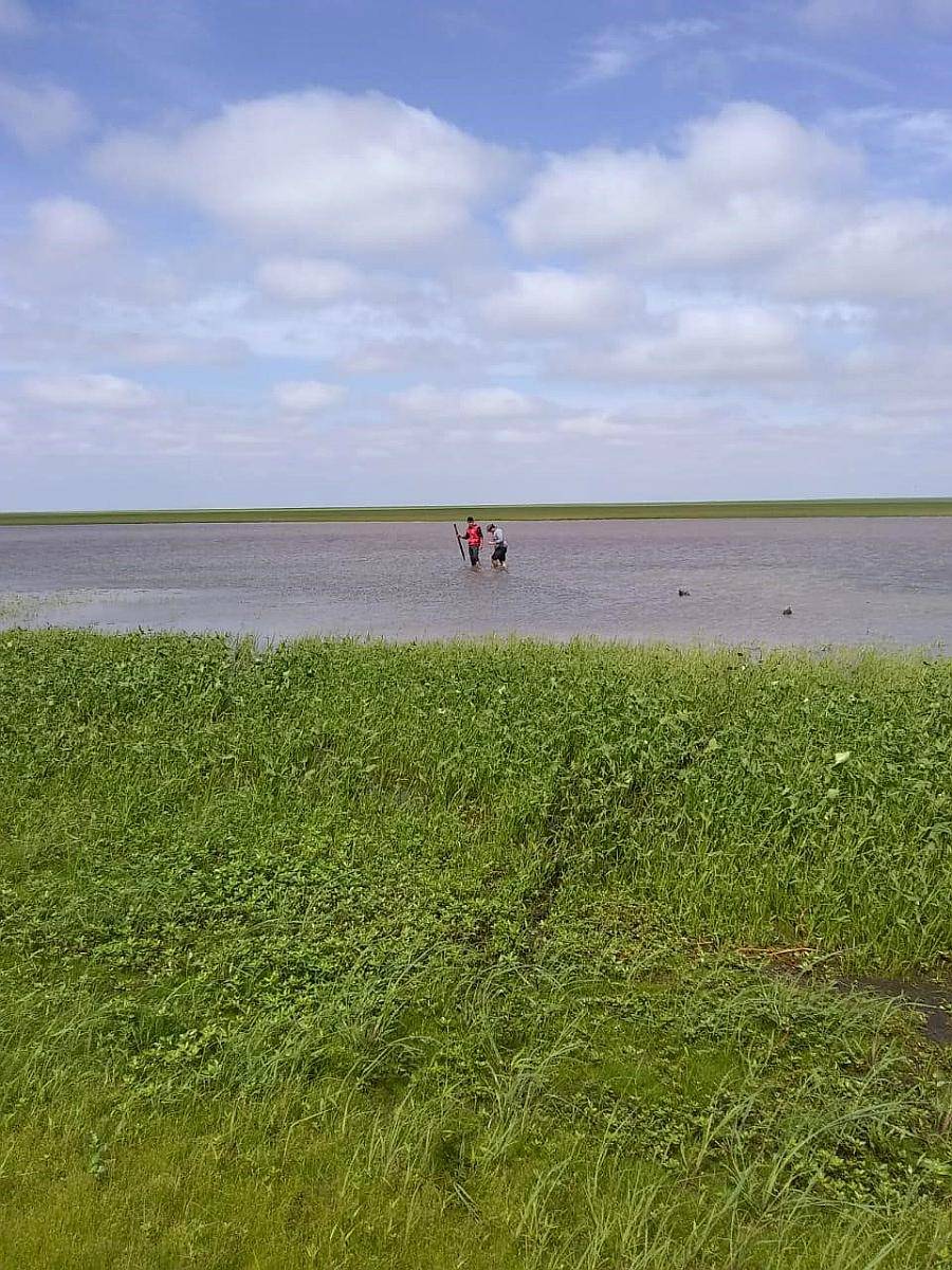 Campo Ganadero 1500 Hectáreas