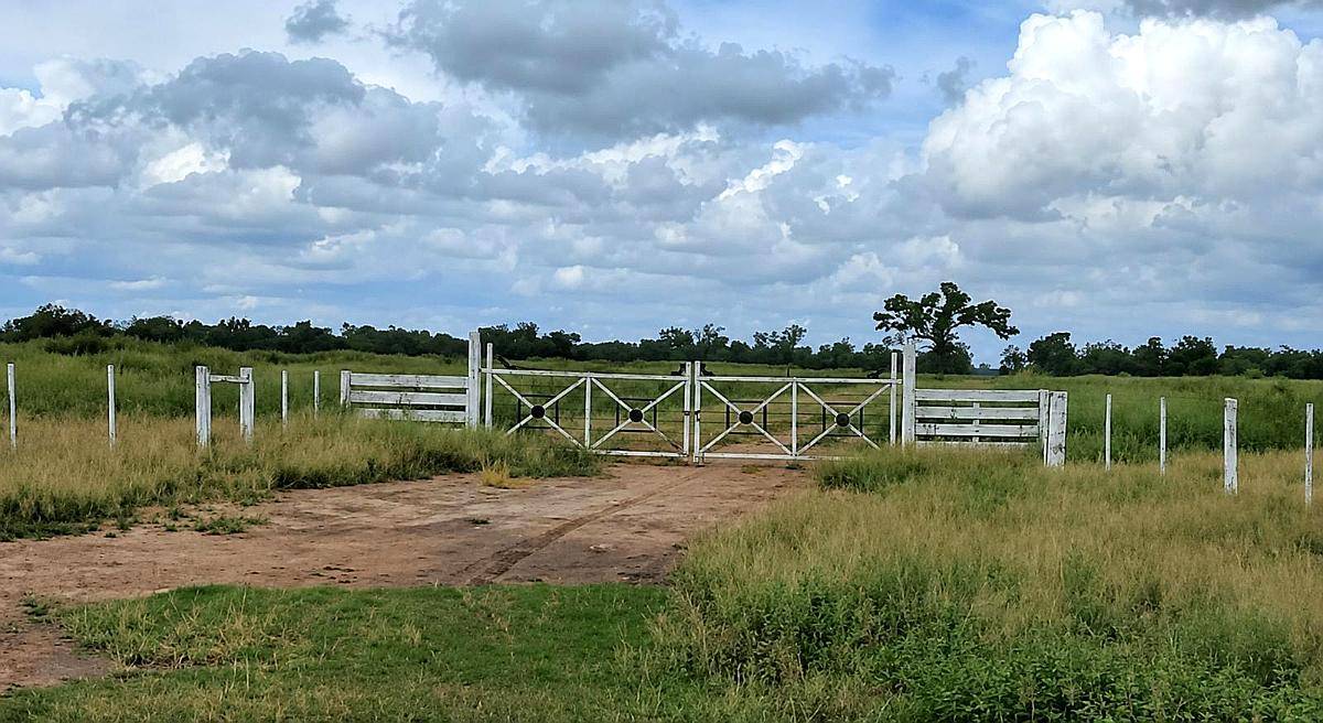 Joaquin V Gonzalez, Anta, Salta - 5.500 Ha