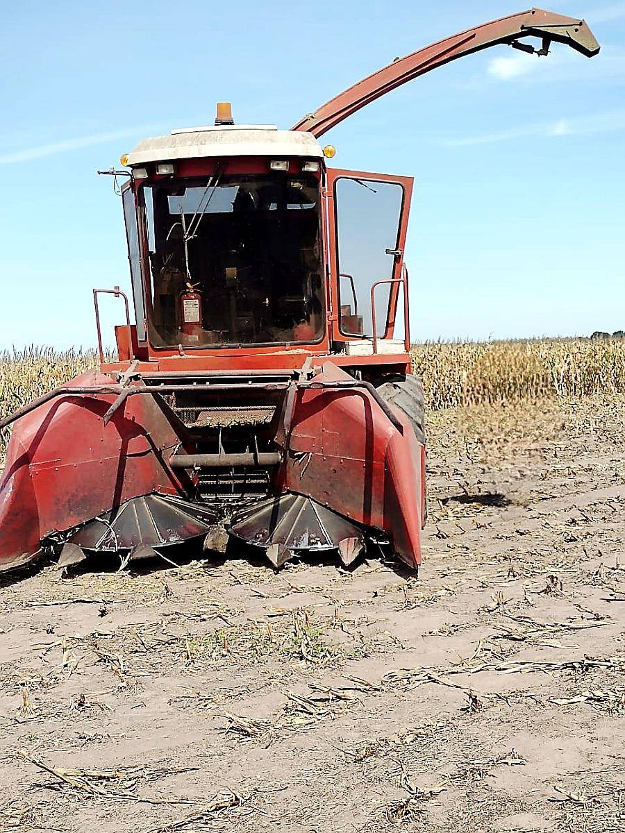 Picadora de Forraje Marani