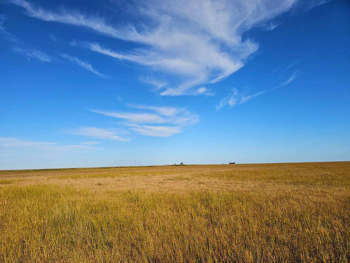 Campo Venta Ruta Mixto 70 Ha Saladillo