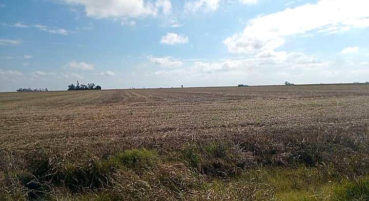 Campo en Zona Núcleo Santa FE