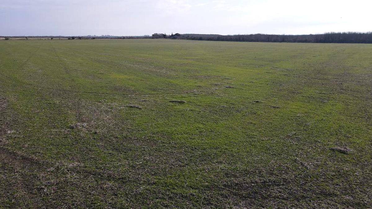 Campo Agrícola en Rocamora de 59 Hectáreas.