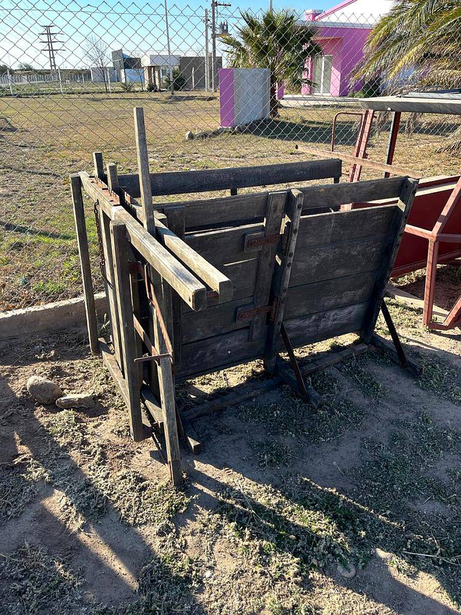 Manga para Cerdos con Cepo y Pasarela .Ñ