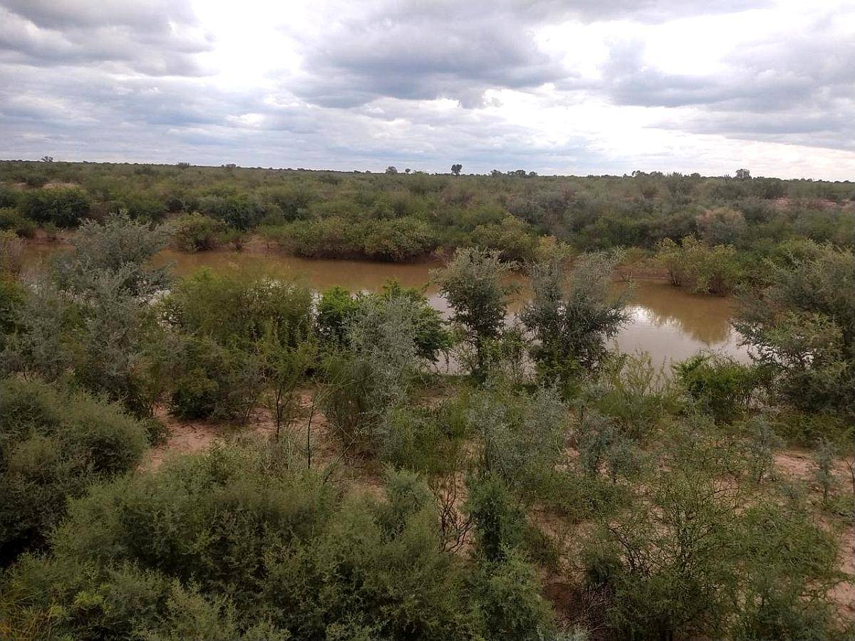 Milagro (LA Rioja) 6.000 Has Ganaderas .