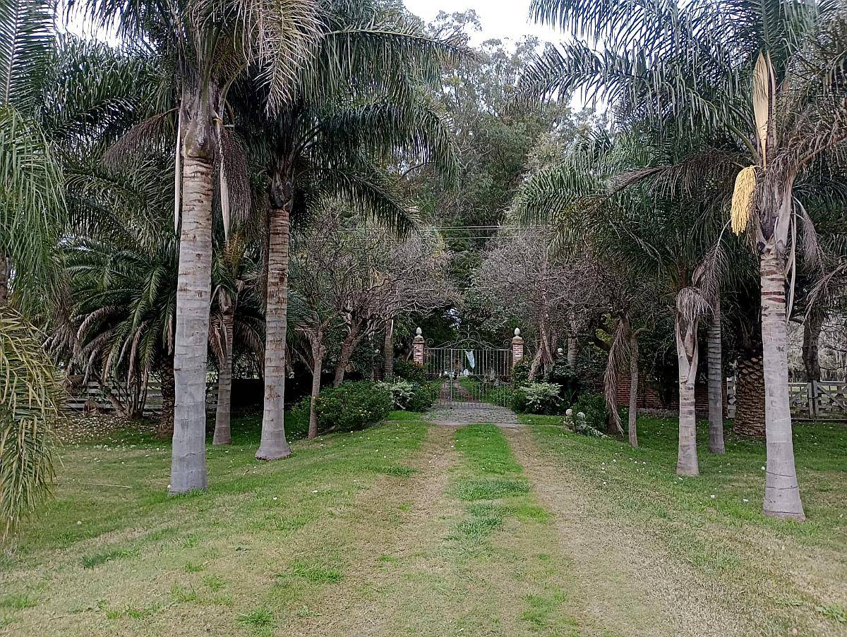 Campo en Venta en Magdalena - 226 Has a 1 Hora de Caba