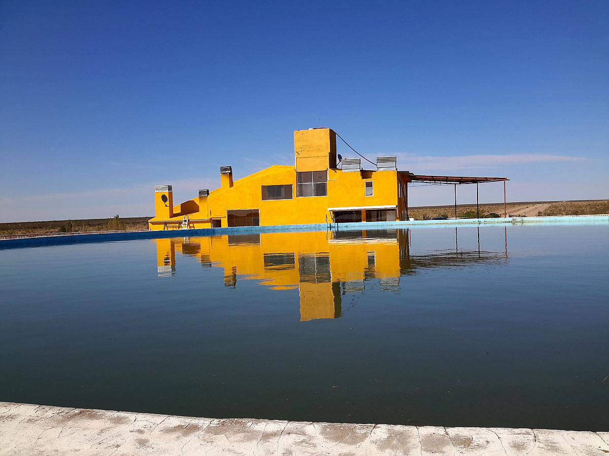 9.400 Ha Zona Vaca Muerta, la Pampa, con Regalias