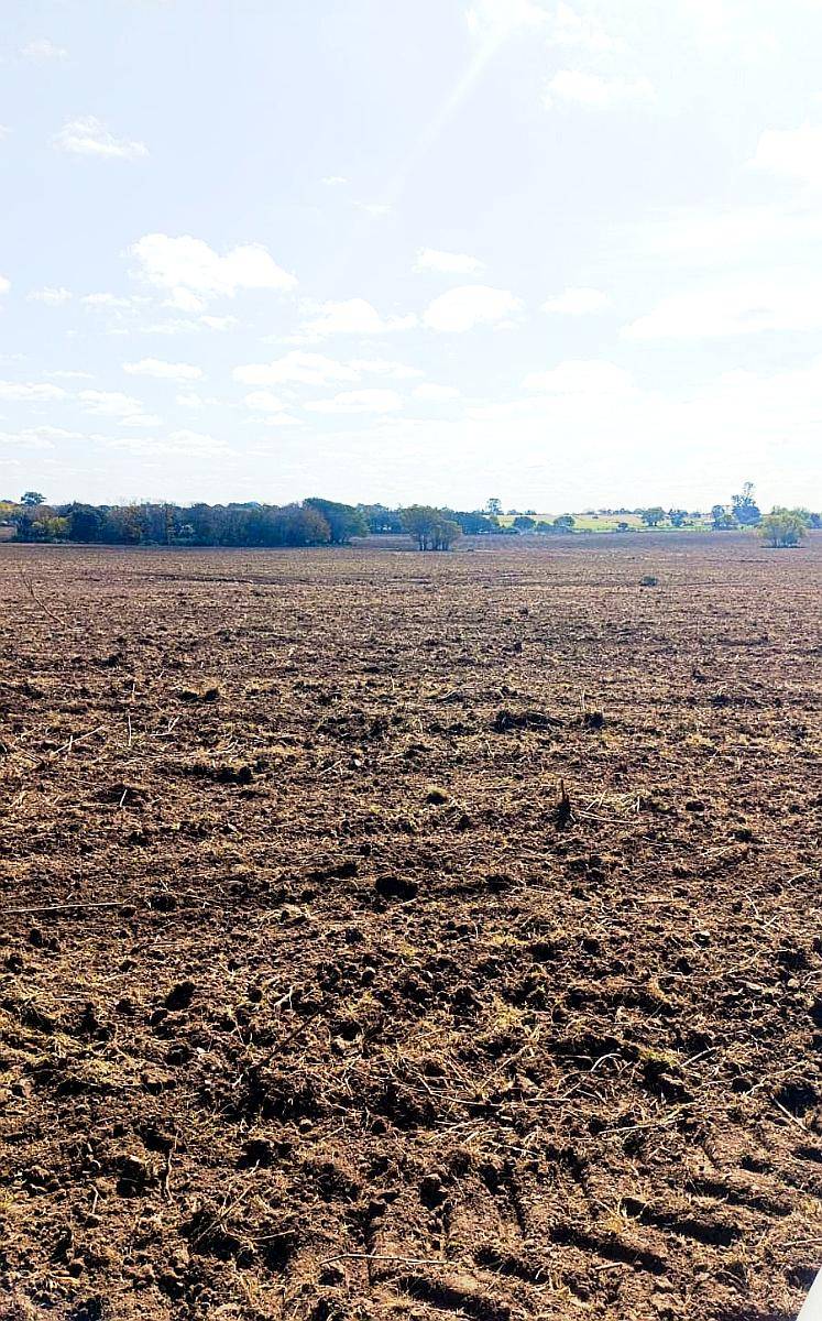 Venta. 26 Has Agricolas en Tres Bocas. Gualeguay