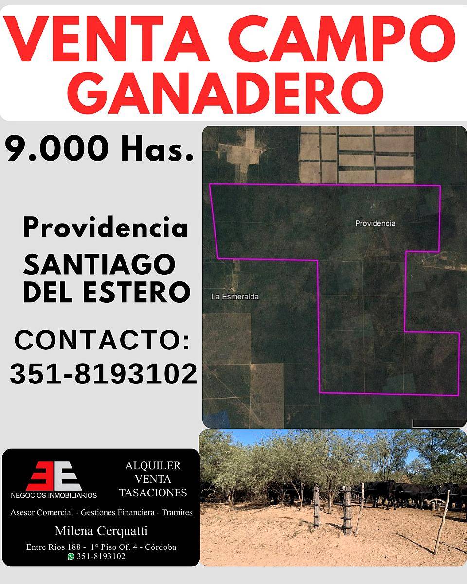 Venta de Campo Ganadero, Providencia, Sgo. del Estero, Arg.