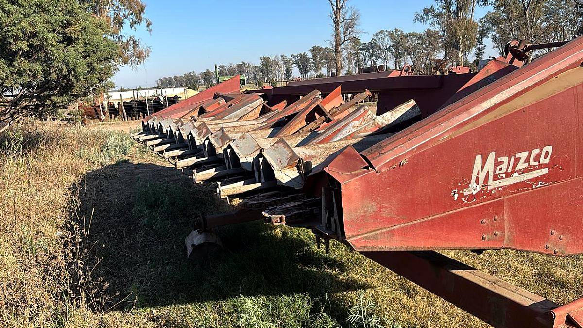 Cabezal Maicero Mainero 10 a 52