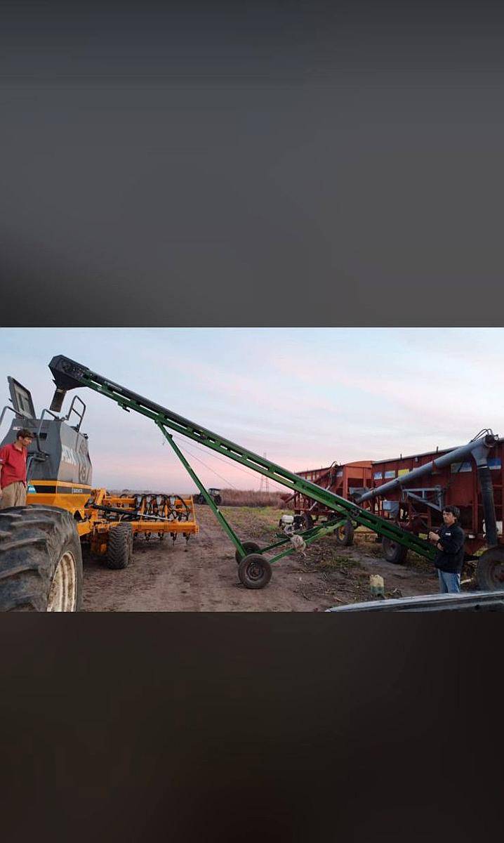 Noria Transportadora 10mts X 30cm a Explosión Manescotto