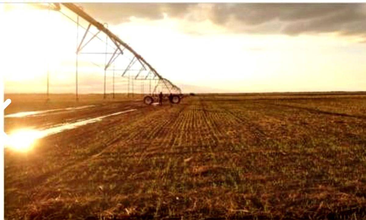12700 Ha - Agro Ganaderas