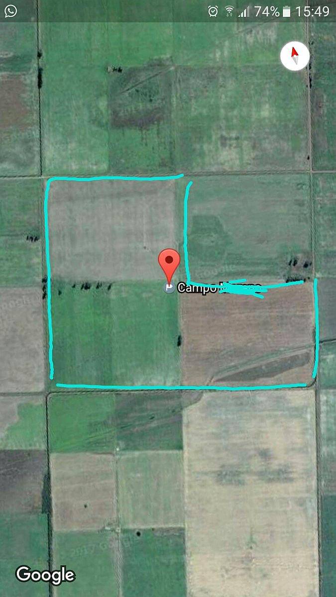 Vendo 98has Colonia Bigand