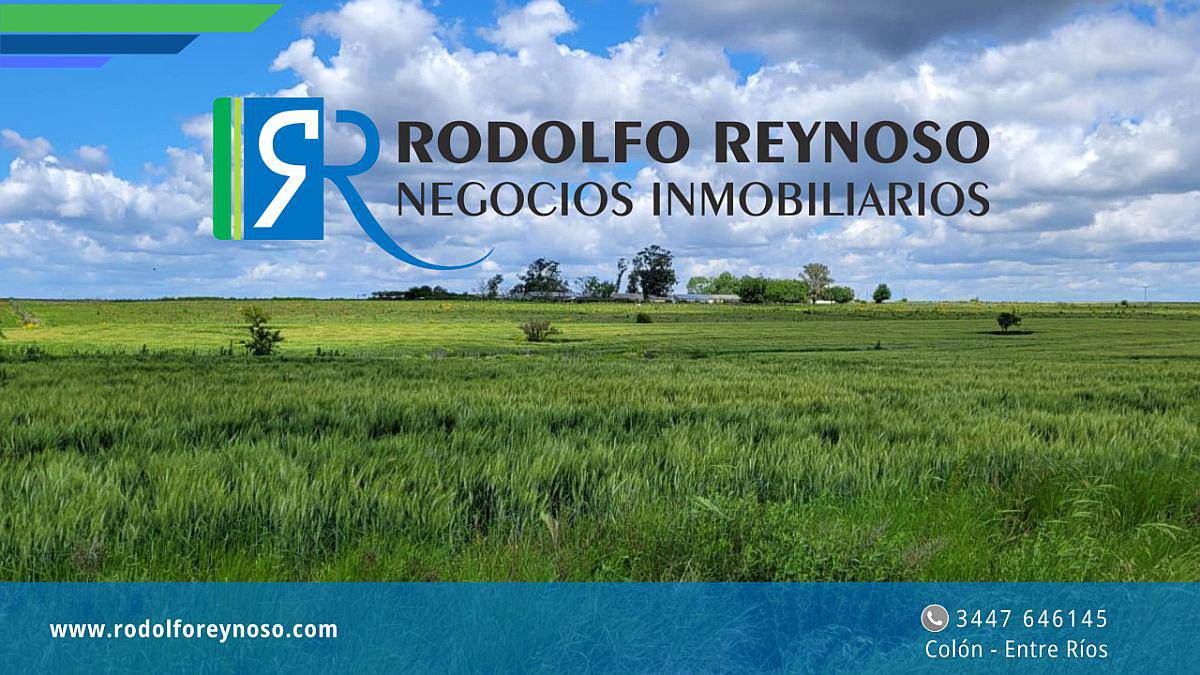 15 HA. en Colón. Entre Ríos
