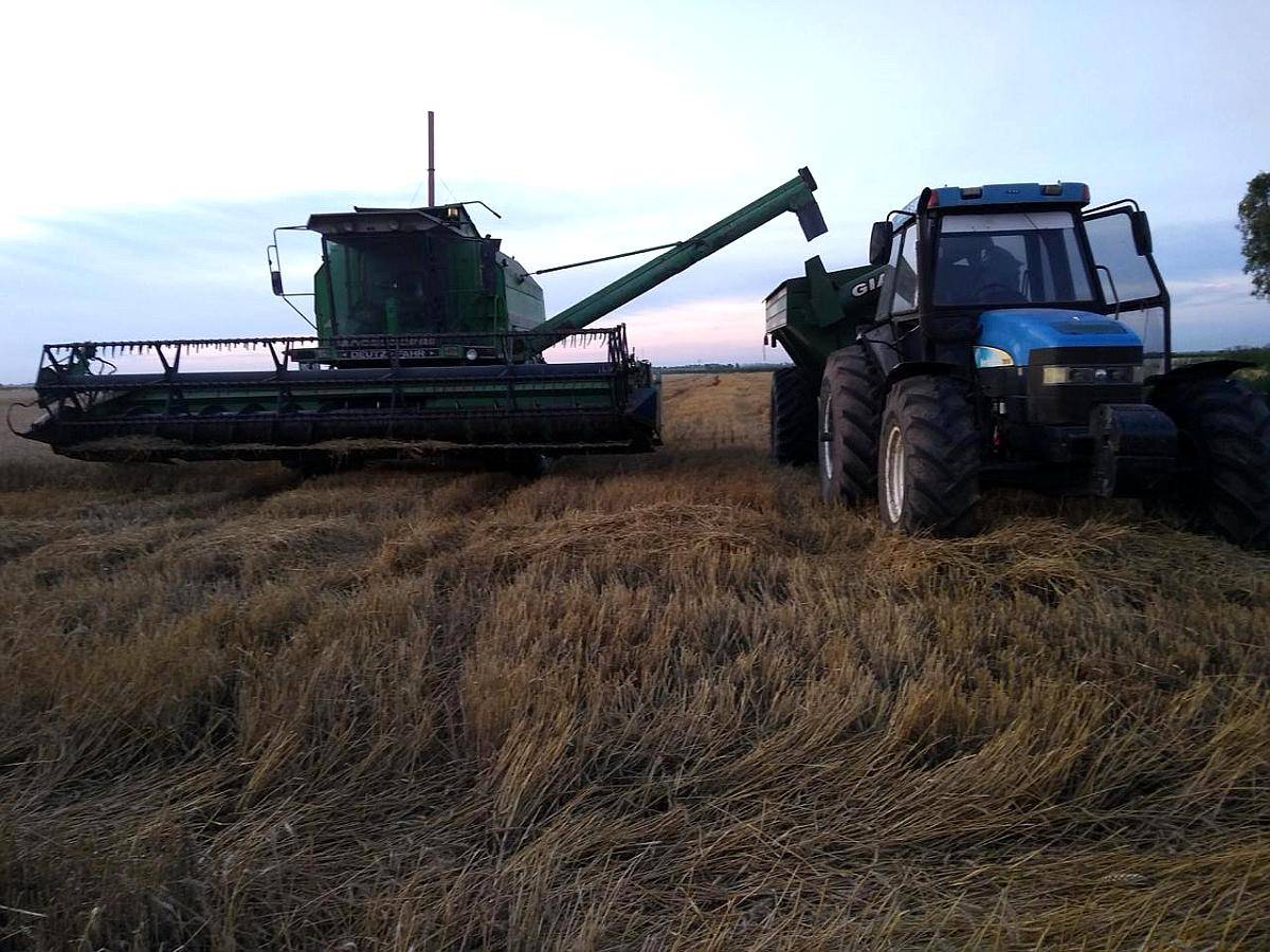 Vendo Cosechadora Deutz Farh Óptima S