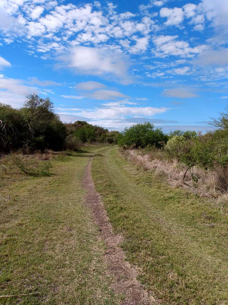 Campo Mixto Dpto. la PAZ