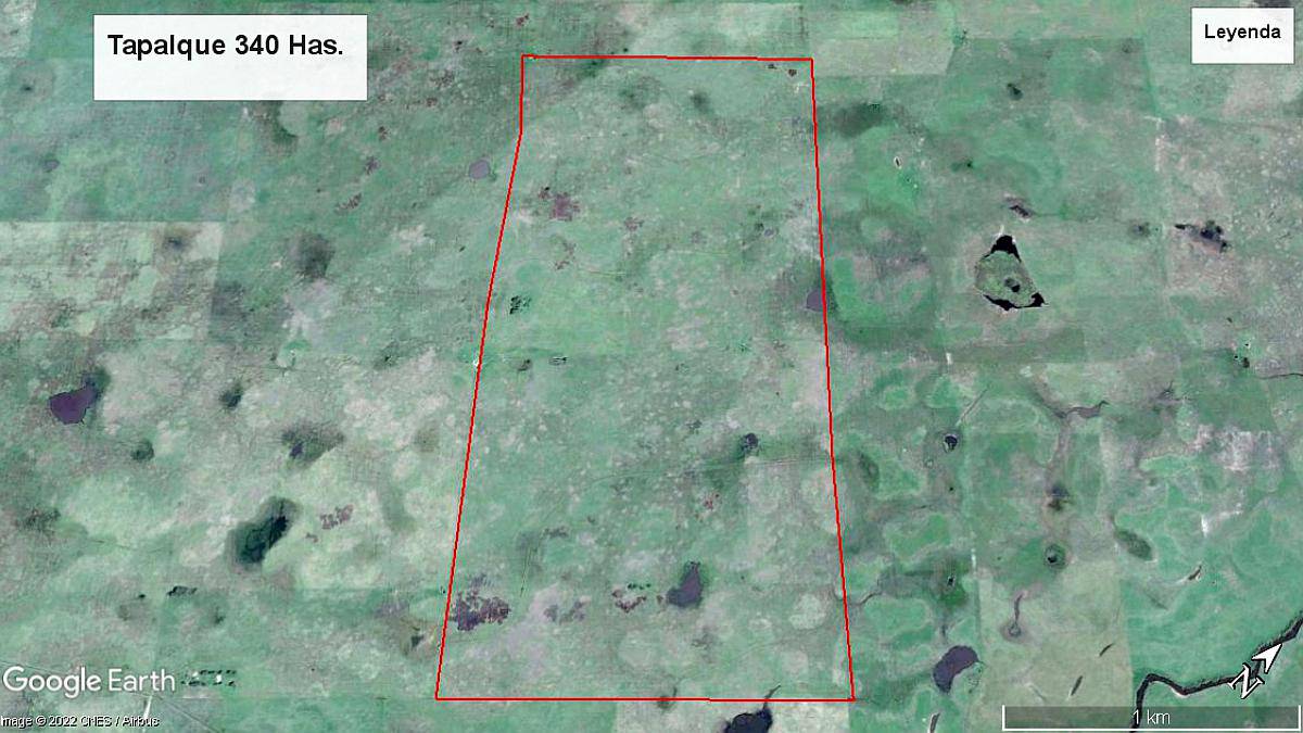 Tapalque 340 Has. Campo Ganadero Bueno - u$s 2.800 / ha - Agroads